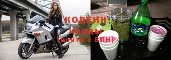 дурь Пестово