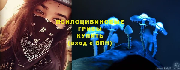 ГАЛЛЮЦИНОГЕННЫЕ ГРИБЫ Арсеньев