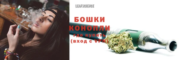 ГАЛЛЮЦИНОГЕННЫЕ ГРИБЫ Арсеньев