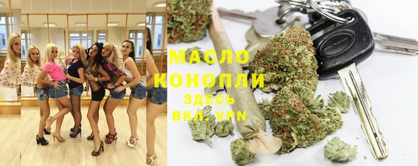 гашик Пересвет