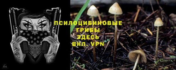 скорость Аркадак