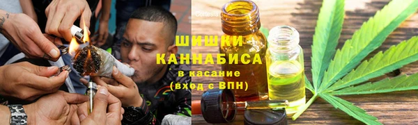 ГАЛЛЮЦИНОГЕННЫЕ ГРИБЫ Арсеньев