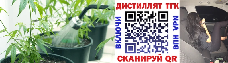 ТГК концентрат  где найти   Покров 