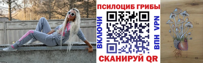 Псилоцибиновые грибы MAGIC MUSHROOMS  кракен маркетплейс  Покров 
