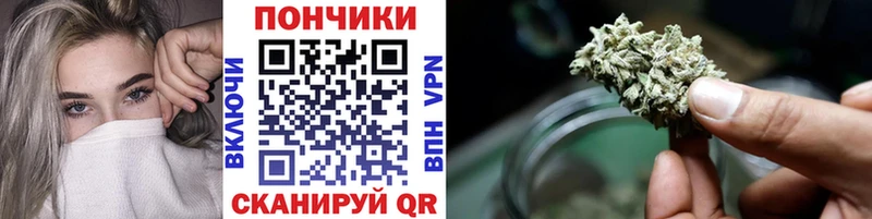 наркотики Покров Каннабис сатива